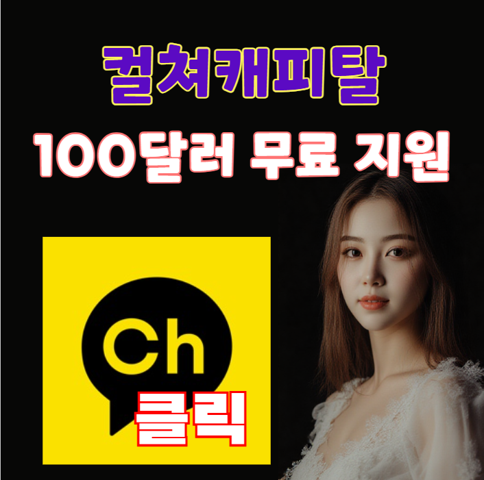 컬쳐캐피탈 100달러